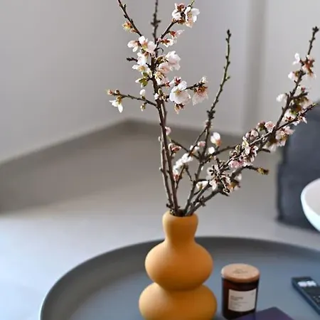 Opensea Appartement *