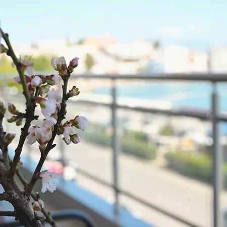 Appartement Opensea Chalkís