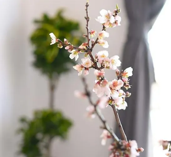 Opensea Apartamento Chalkís